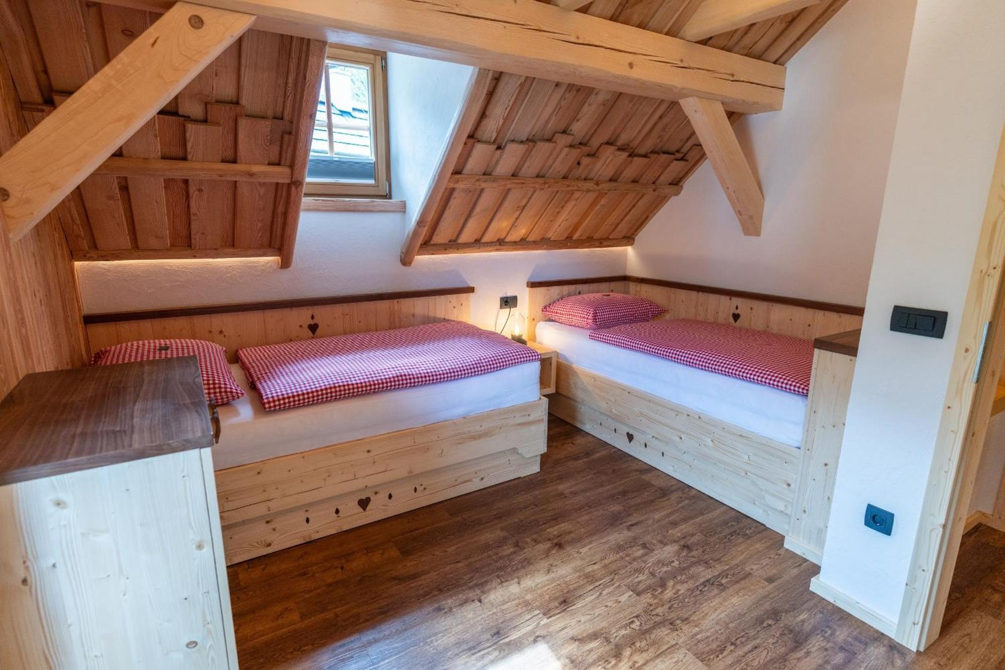 Chalet Apartments ALPIK Bohinj Extérieur photo