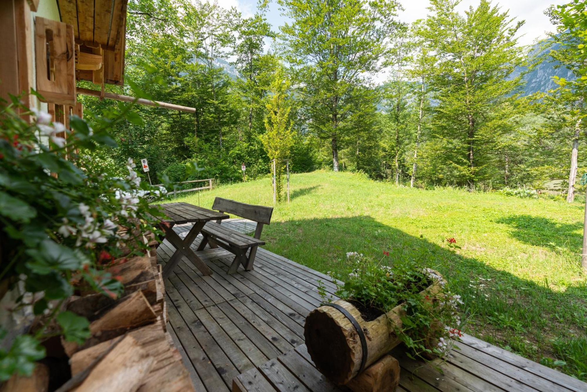 Chalet Apartments ALPIK Bohinj Extérieur photo